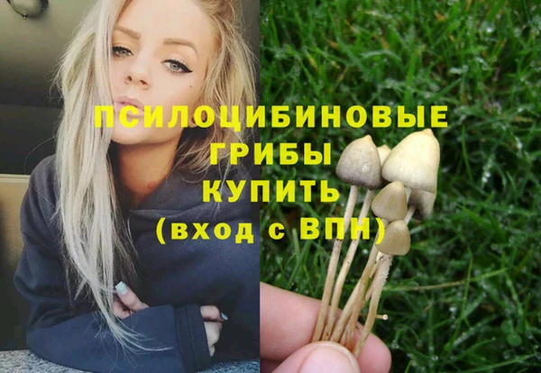 молекула духа Абинск