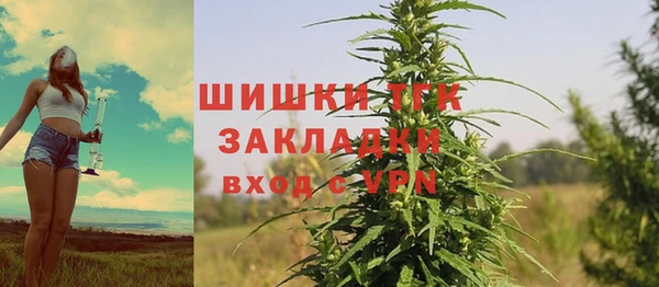 амф Абаза