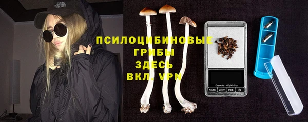 амф Абаза