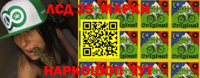 гидропоника Тула