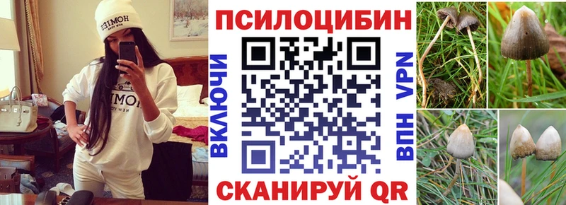 Псилоцибиновые грибы мицелий Анапа