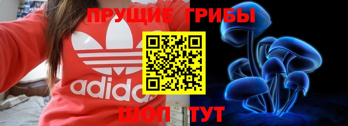 Анапа  Галлюциногенные грибы Psilocybe  Вход с VPN 