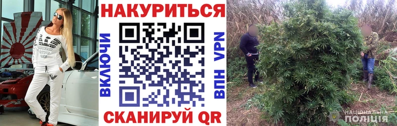 где найти наркотики  Анапа  Каннабис MAZAR 